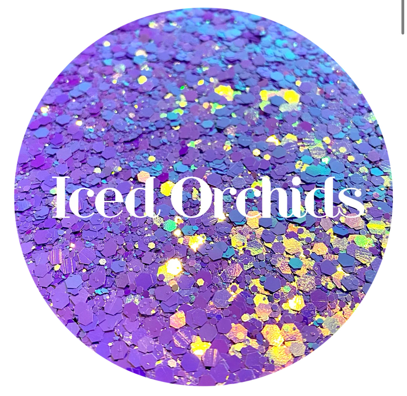 Iced Orchids Purple